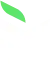 Modulazzi
